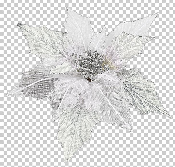 Christmas Poinsettia Flower Holiday New Year PNG, Clipart, 2016, Black And White, Christmas, Color, Cut Flowers Free PNG Download