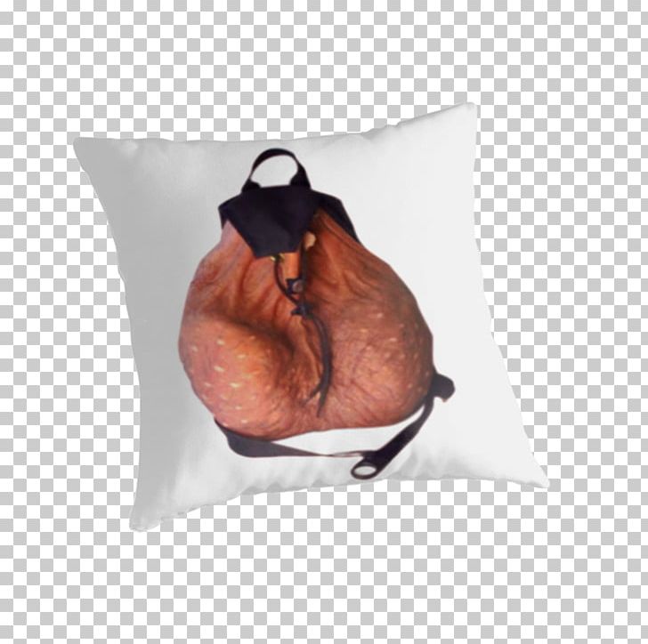 Throw Pillows Cushion Snout PNG, Clipart, Backpack, Cushion, Furniture, Pillow, Redbubble Free PNG Download