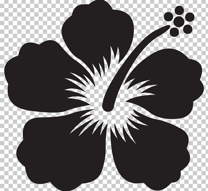 Flower Shoeblackplant Drawing Paper PNG, Clipart, Black And White, Decal, Drawing, Floral Design, Flower Free PNG Download