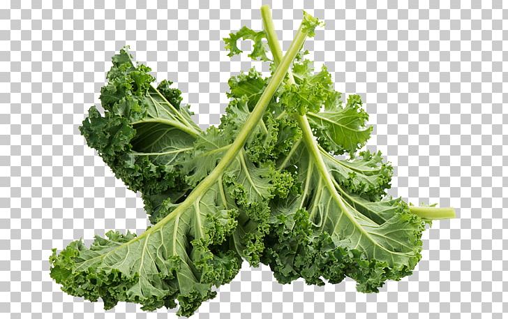 Kale Romaine Lettuce Food Vegetable Calcium PNG, Clipart, Ascorbic Acid, Brassica, Broccoli, Calcium, Capitata Group Free PNG Download