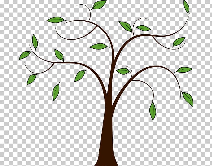 Tree Leaf Branch PNG, Clipart, Arecaceae, Artwork, Autumn Leaf Color, Branch, Clip Art Free PNG Download