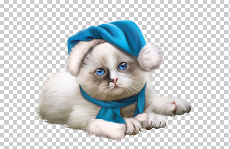 Cat Puppy Ragdoll Small To Medium-sized Cats Kitten PNG, Clipart, Cat, Fur, Headgear, Kitten, Lhasa Apso Free PNG Download
