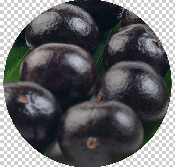 Blueberry Bilberry Superfood Superfruit Vitamin PNG, Clipart, Acai Palm, Antioxidant, Aronia, Berry, Bilberry Free PNG Download