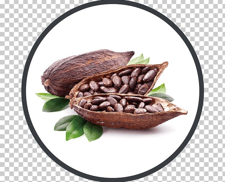 Hot Chocolate Cocoa Bean Food Cocoa Solids PNG, Clipart, Chocolate, Cocoa Bean, Cocoa Butter, Cocoa Extract, Cocoa Solids Free PNG Download