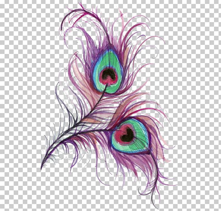 purple peacock feather drawing
