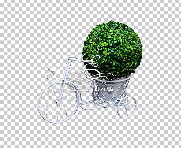 Plant Flowerpot Buoy PNG, Clipart, Bicycle, Bicycle Accessory, Buoy, Color, Elysian Living Designs Free PNG Download