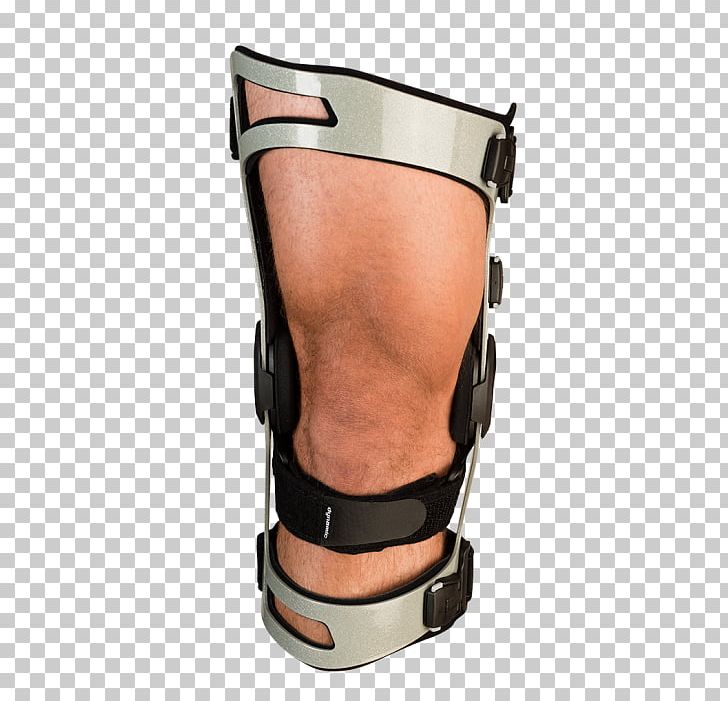 Knee Ligament Breg PNG, Clipart, Anatomy, Breg Inc, Joint, Knee, Ligament Free PNG Download