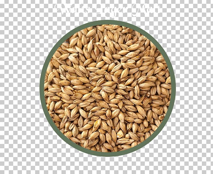 Oat Cereal Malt Beer Spelt PNG, Clipart, Avena, Barley, Barley Malt, Beer, Cereal Free PNG Download