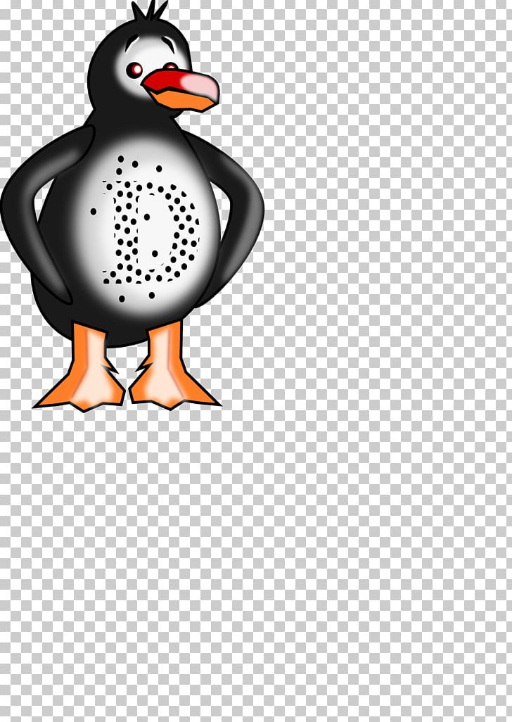 Penguin PNG, Clipart, Animals, Beak, Bird, Competition, Computer Icons Free PNG Download