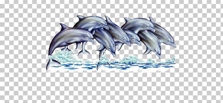 Dolphin Dauphin Of France Animal PNG, Clipart, Animal, Animals, Automotive Design, Blingee, Fauna Free PNG Download