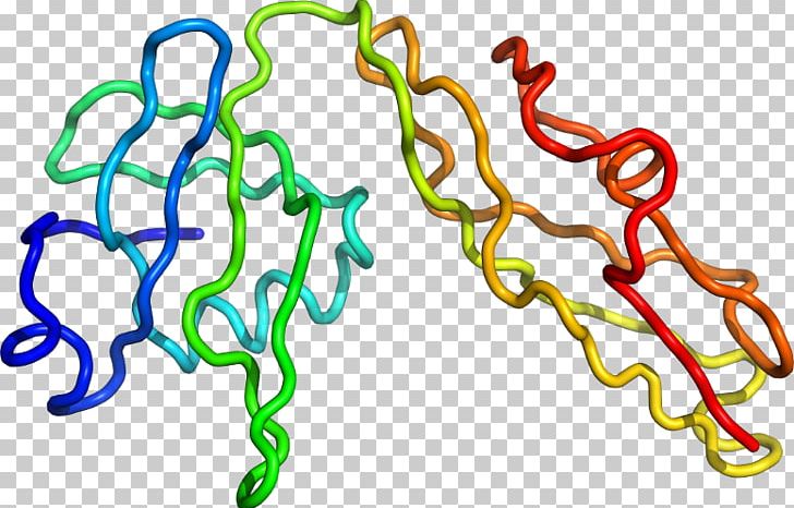 Organism Line PNG, Clipart, Area, Art, Line, Organism, Pn03 Free PNG Download