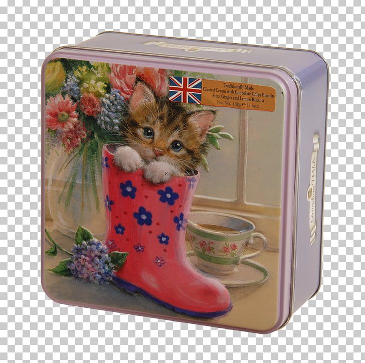 Post Box Biscuit Tin Decorative Box Kitten PNG, Clipart, American Robin, Berry, Biscuit, Biscuit Tin, Box Free PNG Download