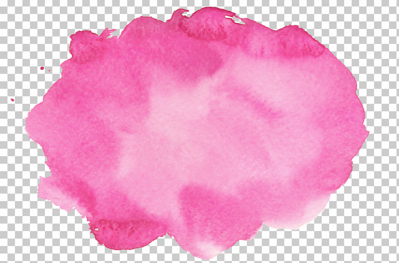 Pink Petal Magenta PNG, Clipart, Magenta, Petal, Pink Free PNG Download