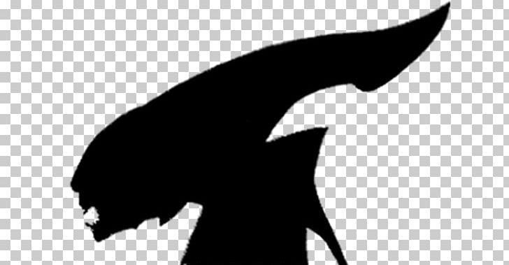Carnivora Silhouette White Beak PNG, Clipart, Animals, Beak, Black, Black And White, Black M Free PNG Download