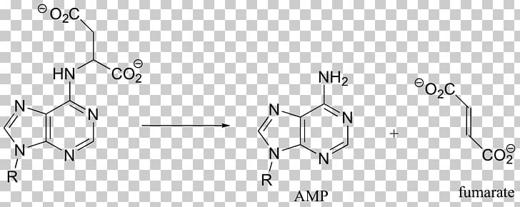 /m/02csf Chemistry White Leaving Group PNG, Clipart, Angle, Animal, Auto Part, Black And White, Car Free PNG Download