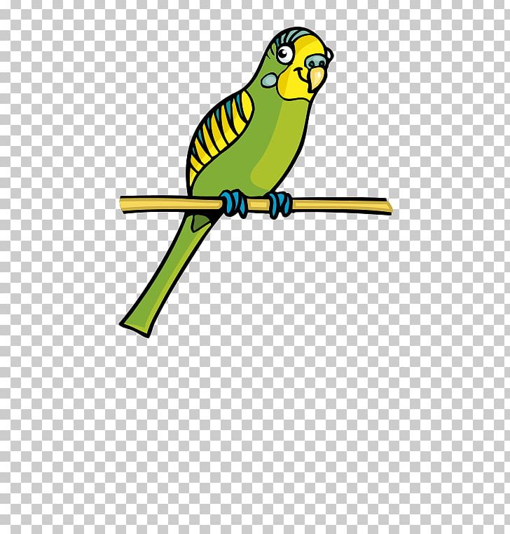 Parrot Bird Cartoon PNG, Clipart, Animal, Animals, Animation, Balloon Cartoon, Beak Free PNG Download