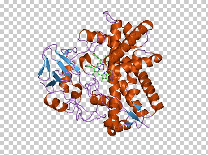 Protein Tyrosine Phosphatase PNG, Clipart, Art, Crystal Structure, Ebi, E K, Enzyme Free PNG Download