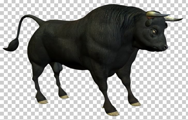 Angus Cattle PNG, Clipart, Angus Cattle, Animal Figure, Black Bull, Bull, Cattle Free PNG Download