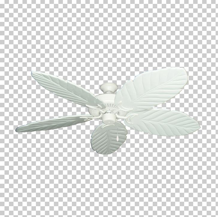 Ceiling Fans PNG, Clipart, Ceiling, Ceiling Fan, Ceiling Fans, Fan, Home Appliance Free PNG Download