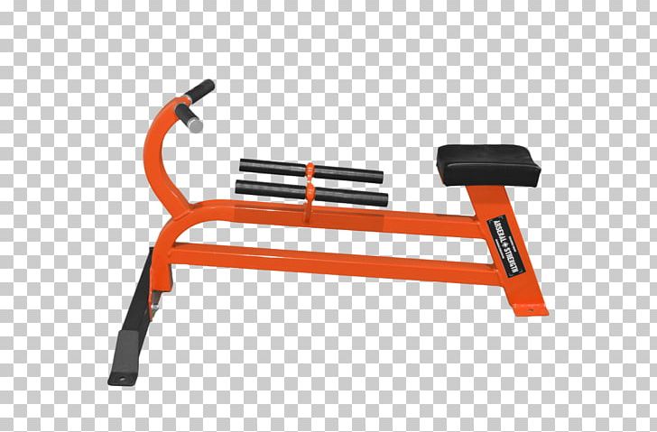 Exercise Machine Exercise Equipment Bench Bent-over Row PNG, Clipart, Angle, Barbell, Bench, Bentover Row, Crossfit Free PNG Download