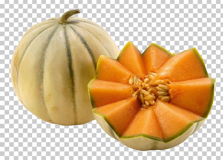 Cavaillon Melon Cantaloupe Food Vegetable PNG, Clipart, Calabaza, Cantaloupe, Cavaillon, Cucumber, Cucumber Gourd And Melon Family Free PNG Download
