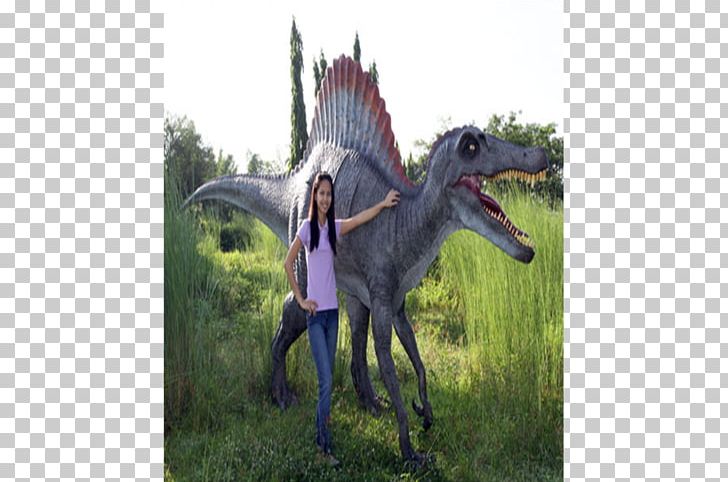 Dinosaur Velociraptor Stallion Mustang Animal PNG, Clipart, Animal, Art, Bird, Dinosaur, Dinosaurs Wild Free PNG Download