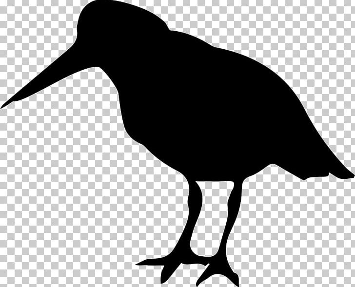Bird Silhouette Haematopus Photography Computer Icons PNG, Clipart, Animal, Animals, Beak, Bird, Bird Of Prey Free PNG Download