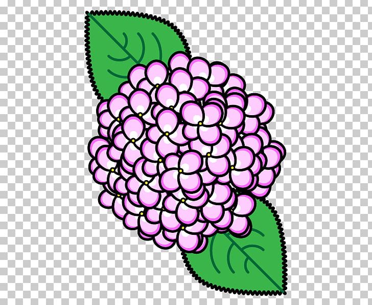 Flower French Hydrangea Monochrome Painting PNG, Clipart, Area, Artwork, Black And White, Character, Circle Free PNG Download