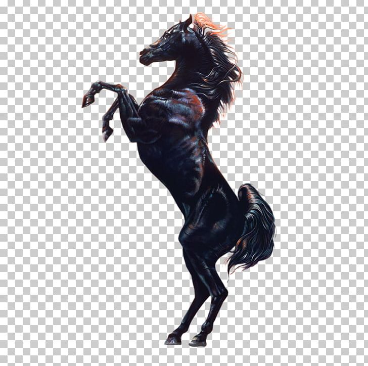 Horse Film Stallion Pony 1080p PNG, Clipart, 1080p, Animals, Black Stallion, Creative, Dark Free PNG Download