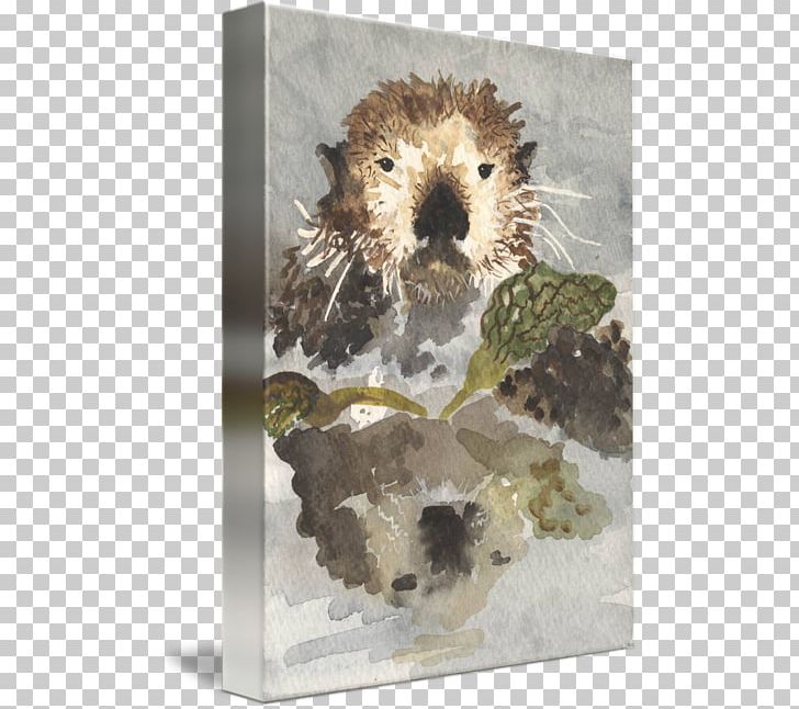 Sea Otter Hedgehog Beaver Gallery Wrap PNG, Clipart, Art, Beaver, Canvas, Carnivoran, Erinaceidae Free PNG Download