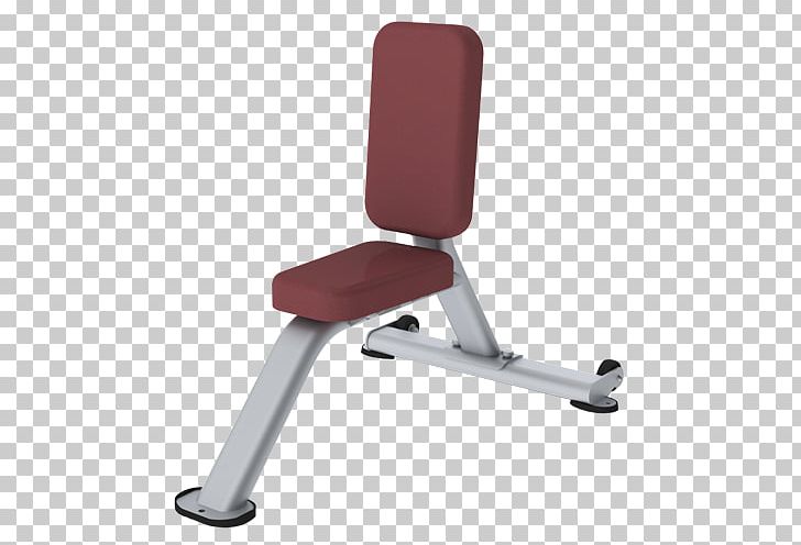 Triceps Brachii Muscle Bench Fitness Centre Exercise Equipment PNG, Clipart, Angle, Bench, Chair, Crossfit, Elliptical Trainers Free PNG Download
