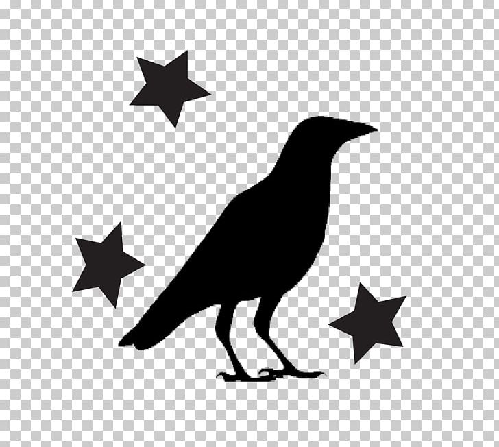 Video New York City Primitive Olde Crow And Winery GIF PNG, Clipart, American Crow, Beak, Bird, Black And White, Crow Free PNG Download