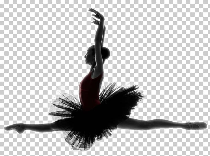 Ballet Dancer Dance Studio Tutu PNG, Clipart, American, Ballet Shoe, Beautiful Girl, Computer Wallpaper, Dancing Free PNG Download