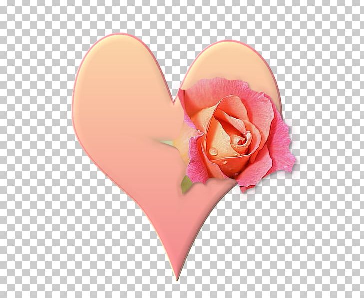 Love Blog Friendship Heart PNG, Clipart, Blog, Broken Heart, Flower, Friendship, Garden Roses Free PNG Download