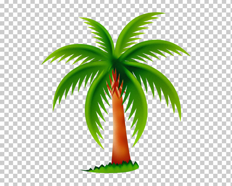 Palm Tree PNG, Clipart, Arecales, Coconut, Date Palm, Elaeis, Flower Free PNG Download