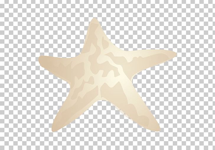 Starfish Echinoderm PNG, Clipart, Animals, Echinoderm, Eps, Invertebrate, Marine Invertebrates Free PNG Download