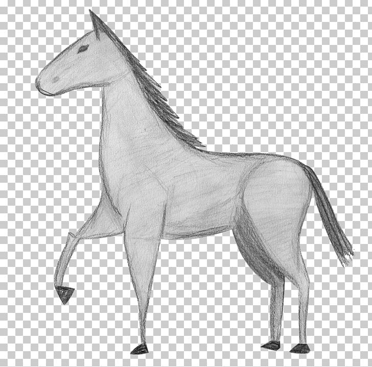 Mule Foal Stallion Pony Rein PNG, Clipart, Black And White, Bridle, Drawing, Fictional Character, Foal Free PNG Download