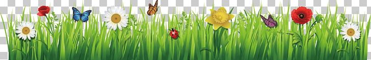 Temperate Grasslands PNG, Clipart, Balloon Cartoon, Biome, Cartoon, Cartoon Character, Cartoon Eyes Free PNG Download