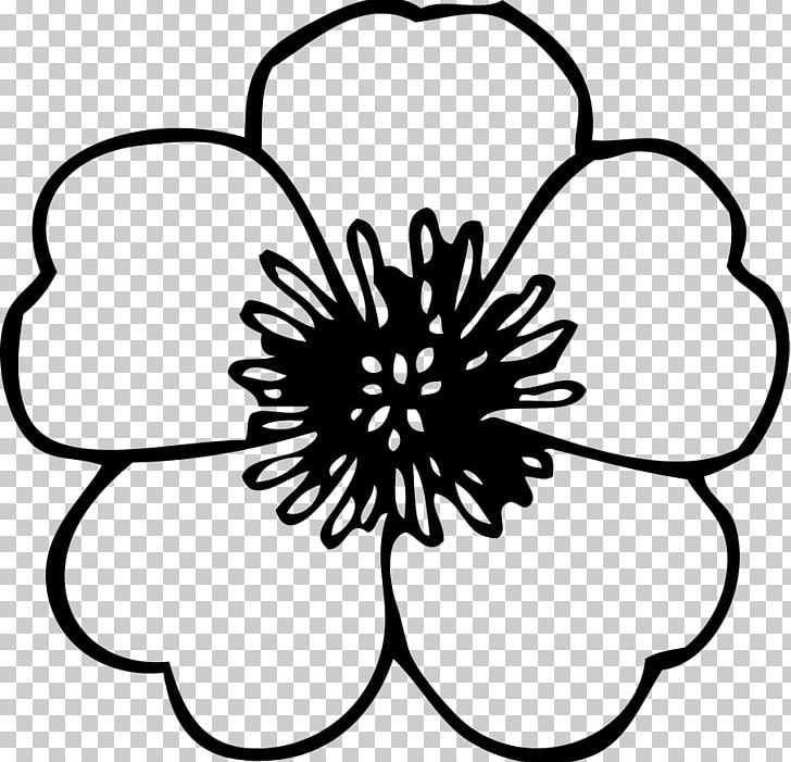 Flower Black And White PNG, Clipart, Anemone, Anemone Flower Cliparts, Artwork, Black And White, Circle Free PNG Download