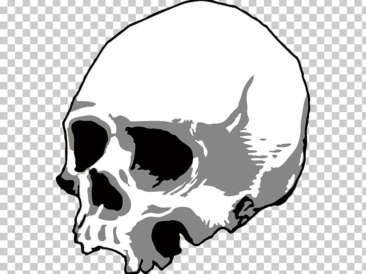 Skull Silhouette Head U9ab7u9ac5 PNG, Clipart, Adobe Illustrator, Audio, Black, Black Hair, Black White Free PNG Download
