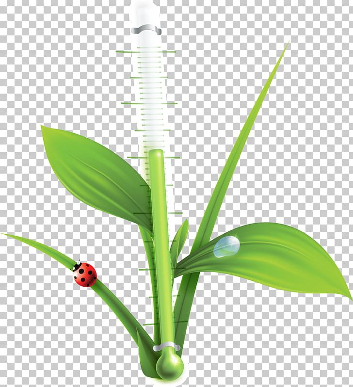 Thermometer Temperature PNG, Clipart, Biotic Stress, Elicitor, Eps, Grass, Grass Family Free PNG Download
