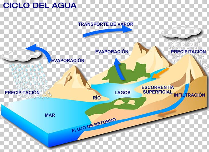 Biogeochemical Cycle Water Cycle Biogeochemistry Carbon Cycle Ecosystem PNG, Clipart, Area, Biogeochemical Cycle, Biogeochemistry, Brand, Chemical Element Free PNG Download