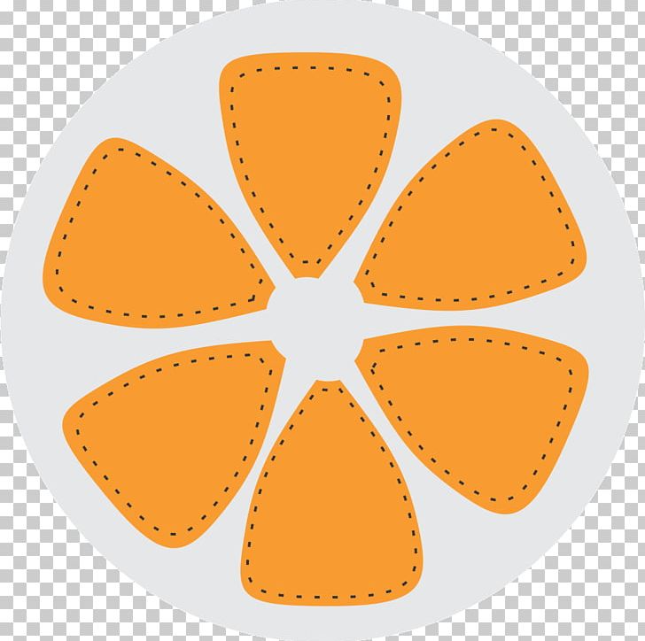 Felt Textile Auglis Material Finishing PNG, Clipart, Auglis, Citrus, Felt, Finishing, Food Free PNG Download