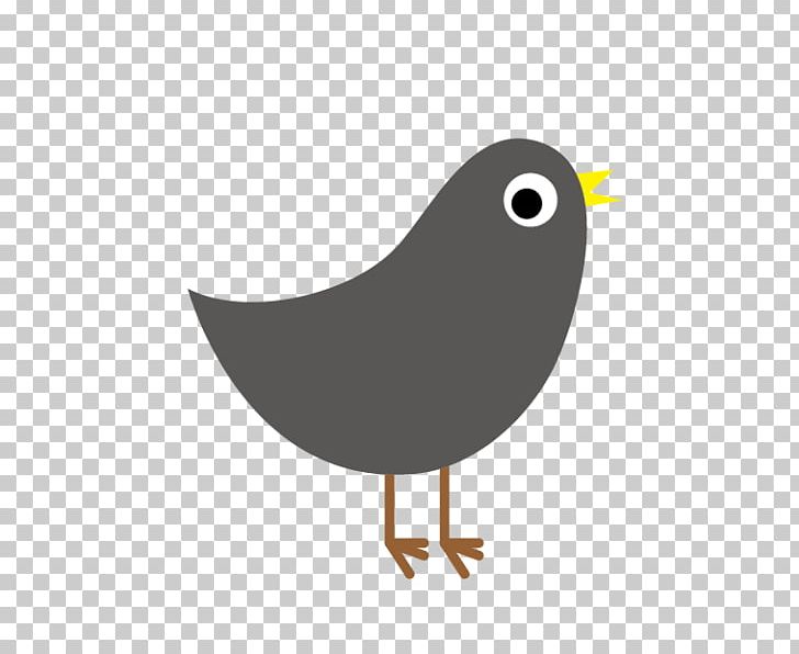 Chicken Bird Illustration Noboribetsu Grand Hotel PNG, Clipart, Beak, Bird, Chicken, Fauna, Galliformes Free PNG Download