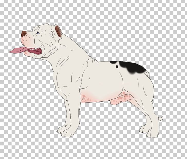 Dorset Olde Tyme Bulldogge Olde English Bulldogge American Bulldog Toy Bulldog Valley Bulldog PNG, Clipart, American Bulldog, Artificial Insemination, Breed, Bulldog, Carnivoran Free PNG Download