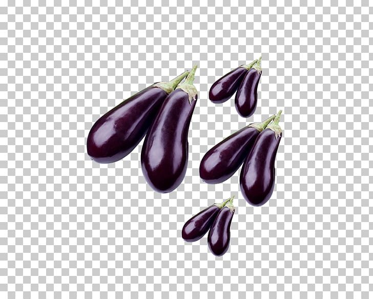 Eggplant Fruit Vegetable Solanum Aethiopicum PNG, Clipart, Cartoon Eggplant, Eggplant, Eggplant Cartoon, Eggplant Seed, Eggplant Watercolor Flowers Free PNG Download