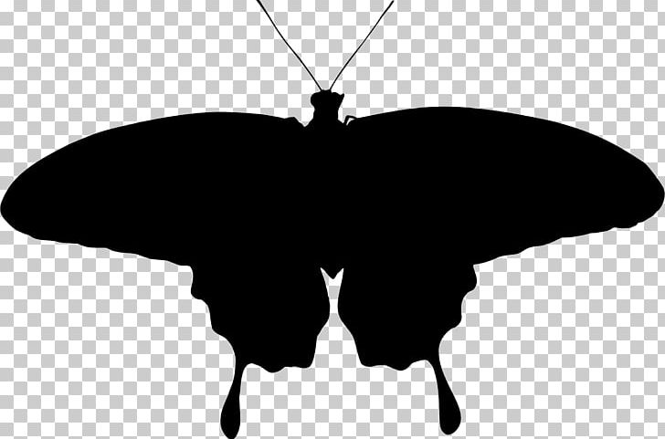 Brush-footed Butterflies Butterfly Moth Silhouette PNG, Clipart, Arthropod, Black And White, Brush Footed Butterfly, Butterflies And Moths, Butterfly Effect Free PNG Download