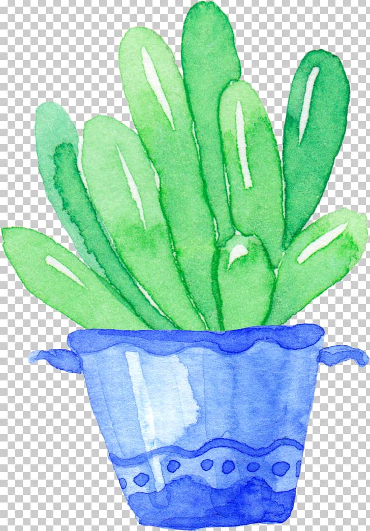 Cactaceae Succulent Plant PNG, Clipart, Cactus, Color, Designer, Euclidean Vector, Flowering Plant Free PNG Download