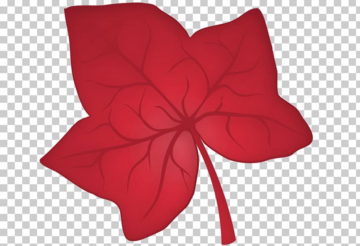 Maple Leaf PNG, Clipart, Cartoon, Download, Flower, Flowering Plant, Leaf Free PNG Download