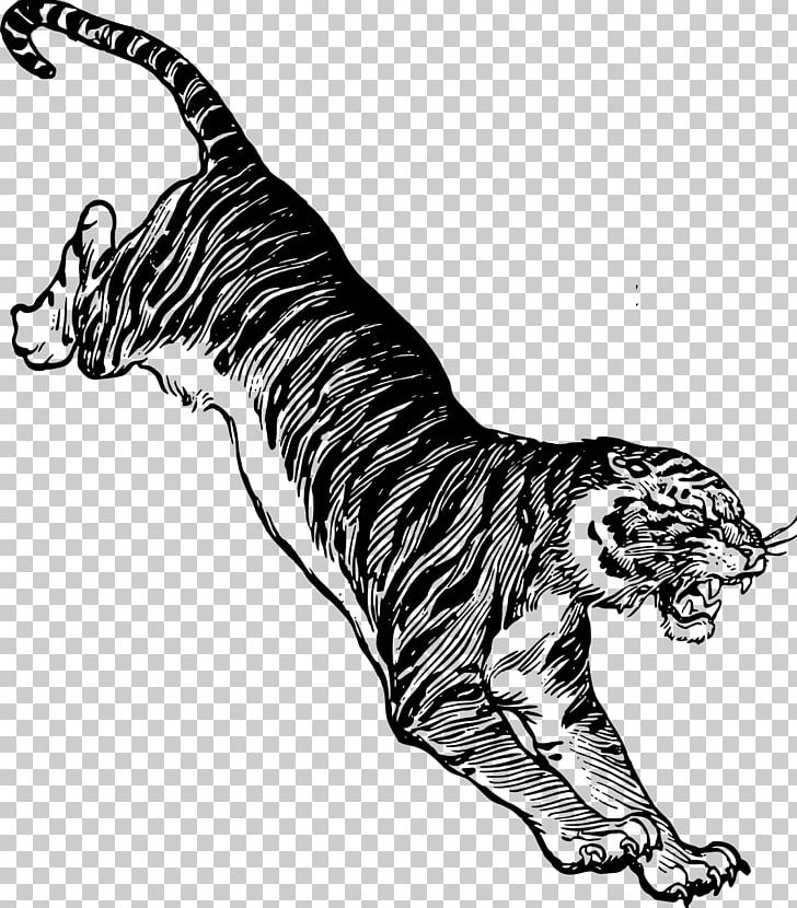 Cat Felidae Drawing Siberian Tiger PNG, Clipart, Animal, Animals, Art, Bengal Tiger, Big Cat Free PNG Download